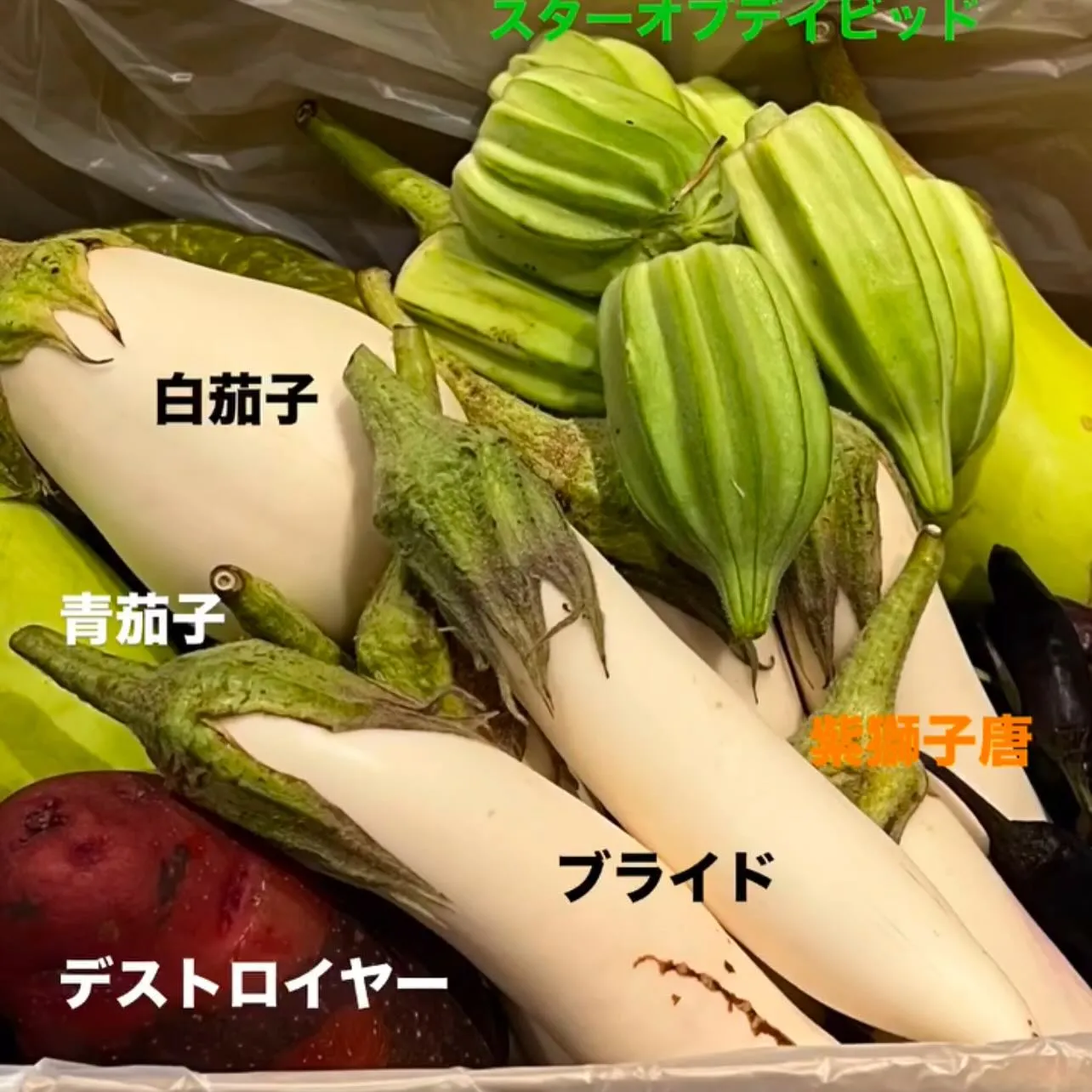 春日井の新鮮な無農薬野菜をふんだんに使ったフランス料理をお召...